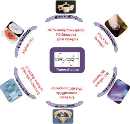  Nanocellulose: Uma Revolução Silenciosa na Engenharia de Materiais e Aplicações Biomédicas!