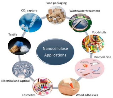  Nanocelulose: A Revolução Sustentável na Engenharia de Materiais!