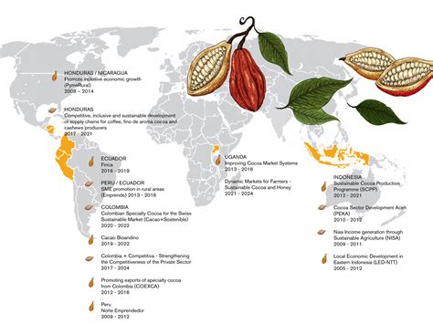 Cacao Bean Production Trends: A Sustainable Cocoa Bean Revolution for Confectionery Excellence!